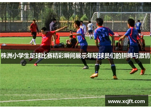 株洲小学生足球比赛精彩瞬间展示年轻球员们的拼搏与激情