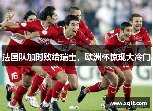 法国队加时败给瑞士，欧洲杯惊现大冷门