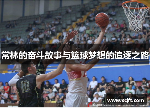 常林的奋斗故事与篮球梦想的追逐之路