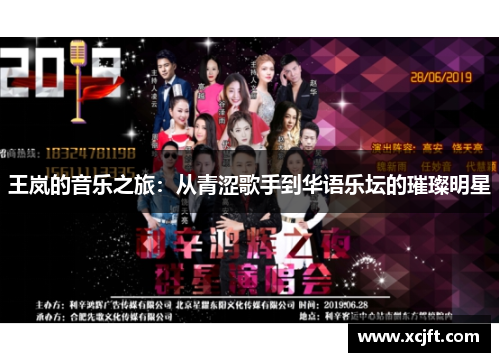 王岚的音乐之旅：从青涩歌手到华语乐坛的璀璨明星
