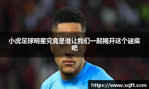 球速体育平台登录入口